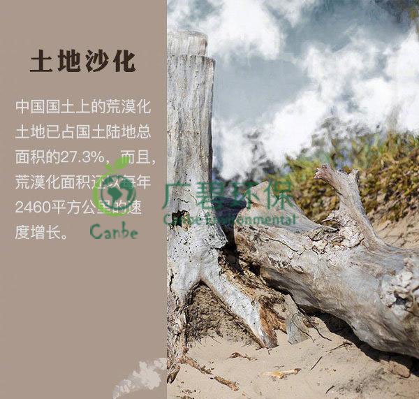 世界地球日 我們能為地球做些什么？(圖4)