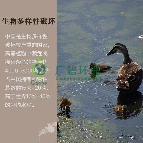 世界地球日 我們能為地球做些什么？(圖6)