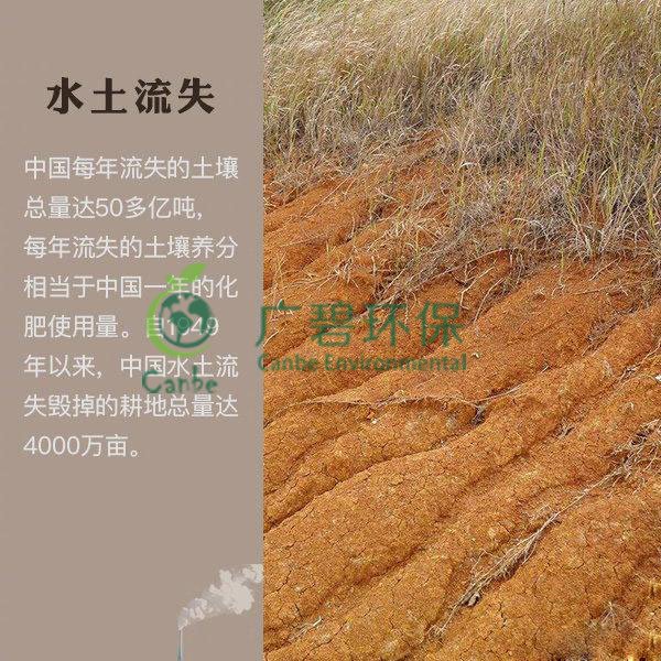 世界地球日 我們能為地球做些什么？(圖7)