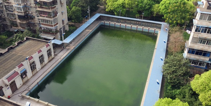 游泳池水變綠是什么原因？游泳池水處理方法