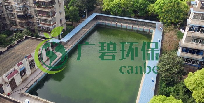 游泳池水變綠是什么原因？游泳池水處理方法(圖1)