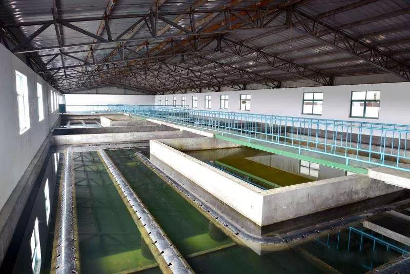 什么是制糖廢水？制糖廢水處理技術(shù)