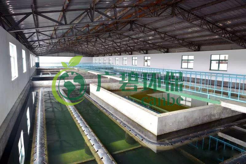 什么是制糖廢水？制糖廢水處理技術(shù)(圖1)