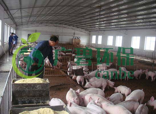 什么是養(yǎng)殖廢水？養(yǎng)殖廢水處理工藝(圖1)