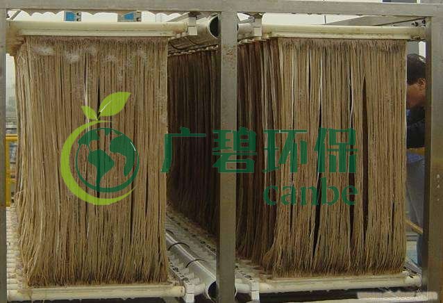 MBR污泥膨脹怎么處理？污泥膨脹的處理方法(圖1)