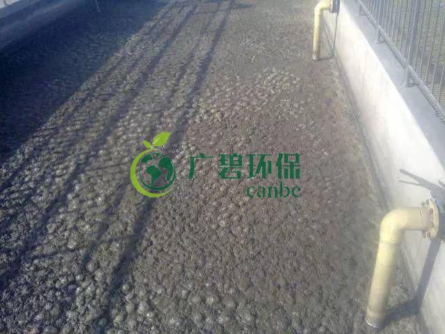 污泥發(fā)黑是什么原因造成？污泥發(fā)黑經(jīng)驗分享(圖1)