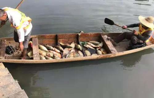 廣州旺旺食品廢水直排，永和河大量魚類死亡