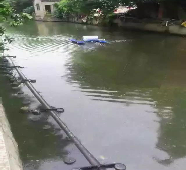 廣東公布省級河湖最新河湖長名單！